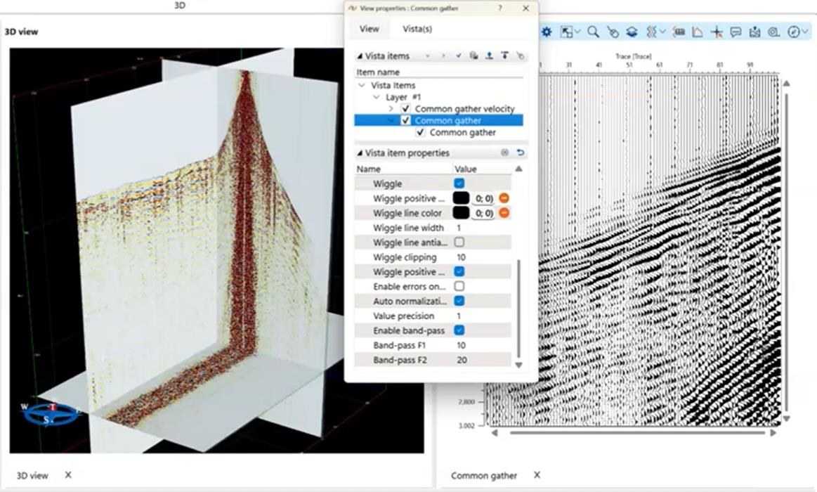3D pre-stack view in g-Viewer